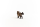 Schleich Farm World Ragdoll Katze