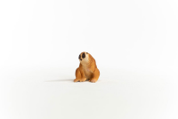 Schleich Wild Life Plumplori