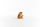 Schleich Wild Life Plumplori