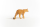 Schleich Wild Life Puma