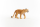 Schleich Wild Life Puma