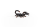 Schleich Wild Life Kaiserskorpion