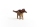 Schleich Dinosaurs Amargasaurus
