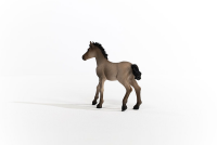 Schleich Horse Club Criollo Definito Fohlen