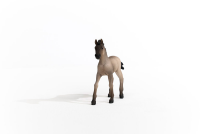 Schleich Horse Club Criollo Definito Fohlen