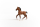 Schleich Horse Club Oldenburger Fohlen