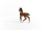 Schleich Horse Club Oldenburger Fohlen