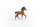 Schleich Horse Club Oldenburger Fohlen