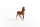 Schleich Horse Club Oldenburger Fohlen