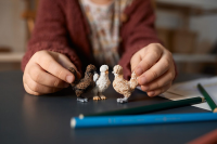 Schleich Farm World H&uuml;hnerfreunde