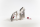 Schleich Horse Club Sofia&rsquo;s Beauties Beauty Horse Quarter Horse