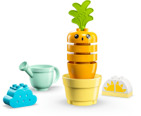LEGO - Wachsende Karotte