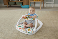 Mattel - Fisher-Price Wunderwald Bodensitz mit Tablett