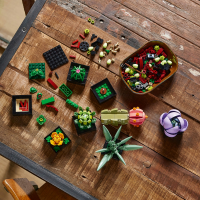 LEGO&reg; Creator Expert- Sukkulenten