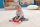 Mattel Fisher-Price Lernspa&szlig; Baby Uno (FR, EN)