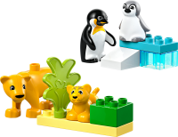 LEGO&reg; DUPLO&reg; Wildtier-Familien: Pinguine und...