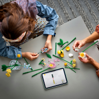 LEGO&reg; Botanicals - Kleiner Sommerstrau&szlig;