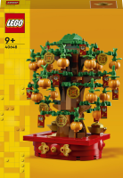 LEGO&reg; Seasons and Occasions - Gl&uuml;ckskastanie