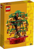 LEGO&reg; Seasons and Occasions - Gl&uuml;ckskastanie
