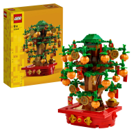 LEGO&reg; Seasons and Occasions - Gl&uuml;ckskastanie