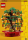 LEGO&reg; Seasons and Occasions - Gl&uuml;ckskastanie