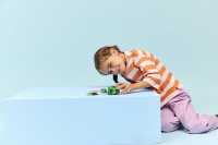 LEGO® Creator - Schildkröte mit Seerose