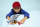 LEGO® Creator - Wilder Hai mit Schatztruhe