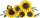 LEGO Botanicals - Sonnenblumen