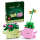LEGO Botanicals - tbd
