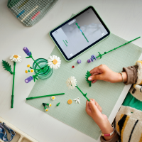 LEGO® Botanicals - Gänseblümchen