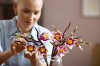 LEGO Botanicals - Magnolienzweige