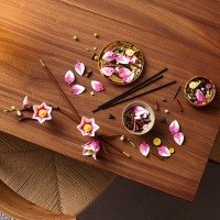 LEGO Botanicals - tbd