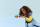 LEGO® Disney Princess - Die Mini-Prinzessinnen Jasmin und Rapunzel