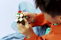 LEGO® Minecraft™ - Steves Abenteuer in der Taiga