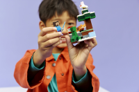 LEGO® Minecraft™ - Steves Abenteuer in der Taiga