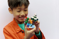 LEGO® Minecraft™ - Steves Abenteuer in der Taiga