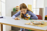 LEGO® Minecraft™ - Hühnerfarm