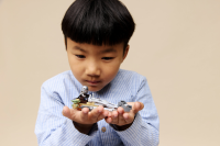 LEGO® Star Wars™ - Der Mandalorianer und Grogu auf ihrem Speeder Bike™