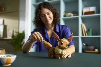 LEGO® Pokémon - Evoli