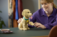 LEGO® Icons - Golden Retriever Welpe