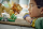 LEGO® Creator - Wilde Tiere: Majestätischer Löwe