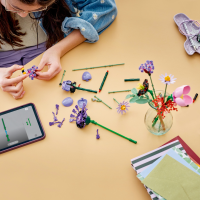 LEGO Botanicals - tbd