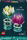 LEGO Botanicals - Seerosen