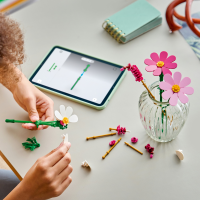 LEGO Botanicals - Kosmeen