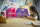 LEGO® Friends - Kreativer Puppenhauskoffer