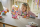 LEGO® Friends - Cupcake-Riesenrad