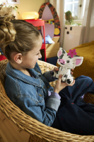 LEGO® Disney Princess - Pua
