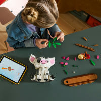 LEGO® Disney Princess - Pua