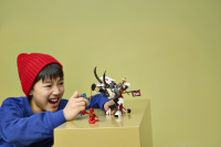 LEGO® NINJAGO - Zilvar auf seinem Drachentier Grimtak