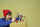 LEGO® NINJAGO - Zilvar auf seinem Drachentier Grimtak